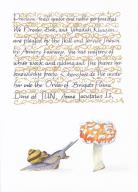 Brigits Flame, Order of 