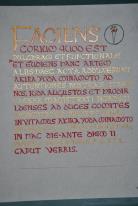 Brigits Flame, Order of 