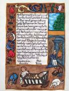 Augmentation of Arms