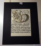 Cygnus, Award of the