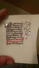 Court Baron/Baroness