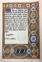 Court Baron/Baroness