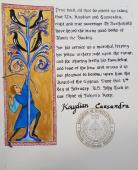 Cygnus, Award of the