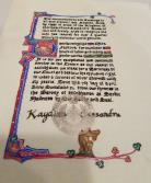 Court Baron/Baroness