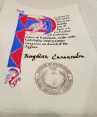 Cygnus, Award of the