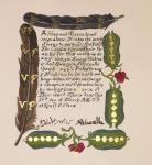 Court Baron/Baroness