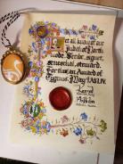 Cygnus, Award of the