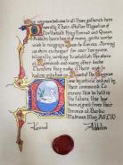 Cygnus, Award of the