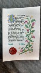 Courtesy of Northshield, Order of