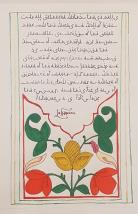 Cygnus, Award of the