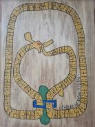 Beare of Northshield