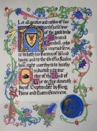 Hand of Tyr, Order of the