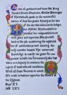 Cygnus, Award of the