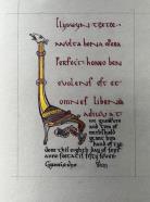 Hand of Tyr, Order of the